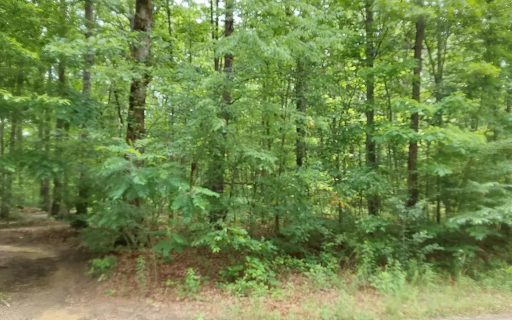 0 Gray Fox Drive Crossville TN 38555