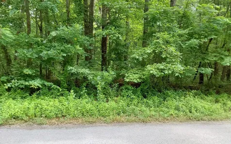 0 Gray Fox Drive Crossville TN 38555