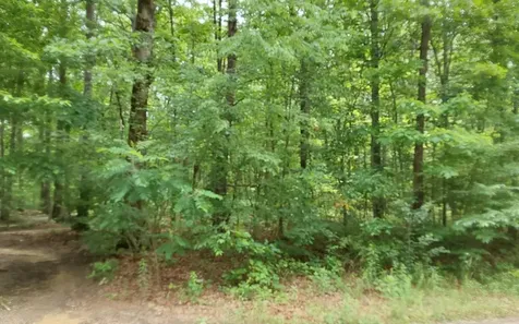 0 Gray Fox Drive Crossville TN 38555