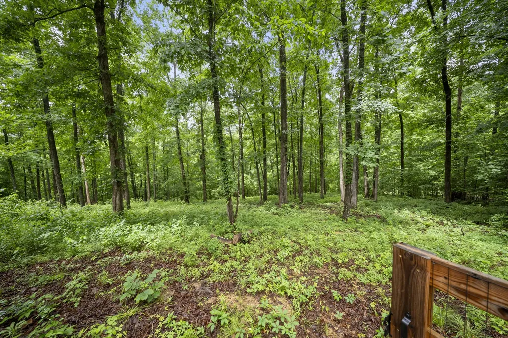 212 Cherokee Drive White Bluff TN 37187