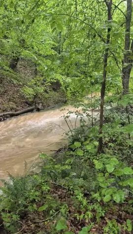 212 Cherokee Drive White Bluff TN 37187