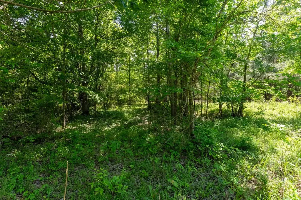 458 Norris Hancock Road Big Rock TN 37023
