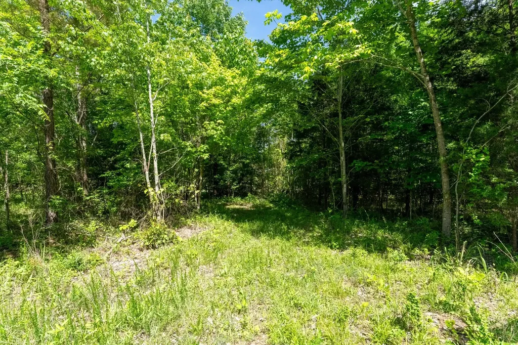 458 Norris Hancock Road Big Rock TN 37023