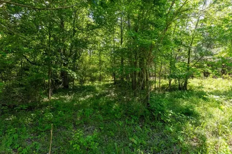 458 Norris Hancock Road Big Rock TN 37023