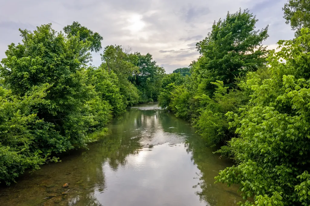 0 Ostella Road Cornersville TN 37047