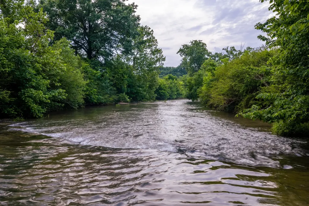 0 Ostella Road Cornersville TN 37047