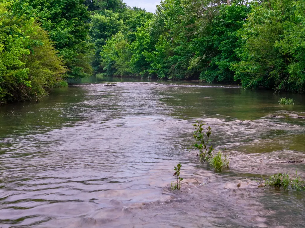 0 Ostella Road Cornersville TN 37047