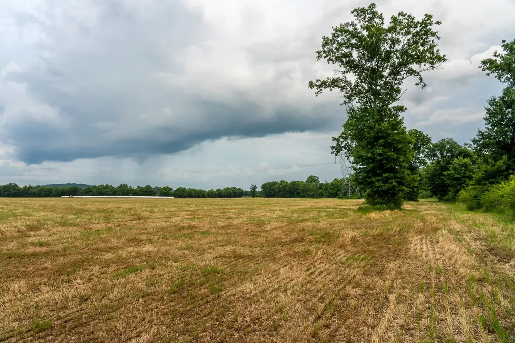 0 Ostella Road Cornersville TN 37047