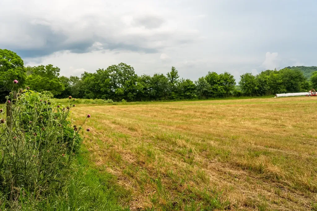 0 Ostella Road Cornersville TN 37047