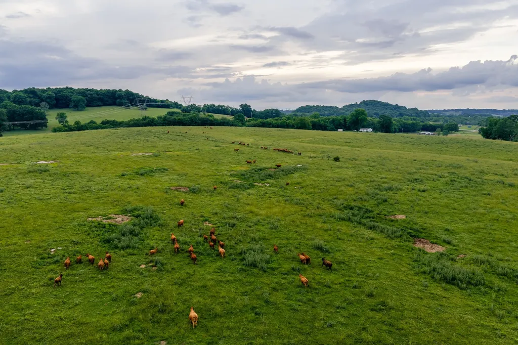 0 Ostella Road Cornersville TN 37047