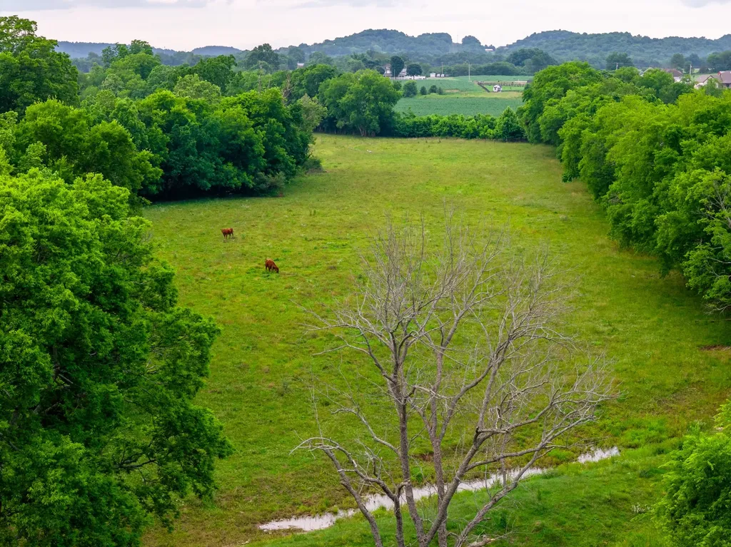 0 Ostella Road Cornersville TN 37047