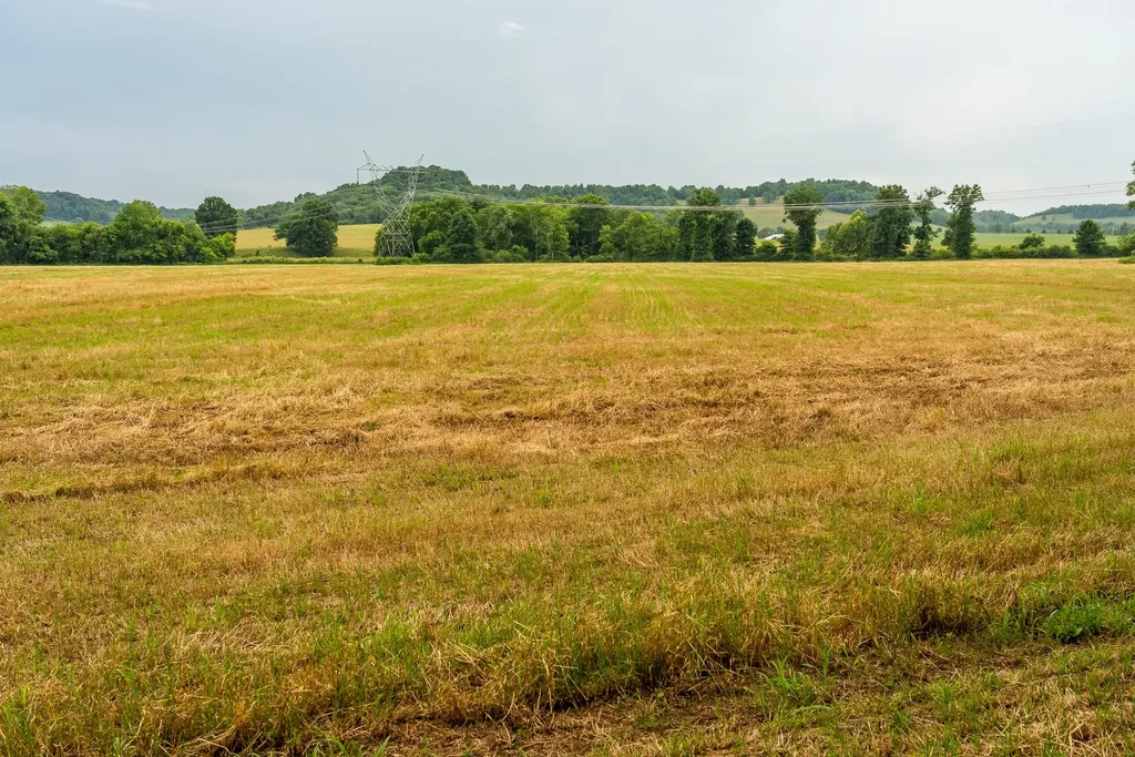 0 Ostella Road Cornersville TN 37047