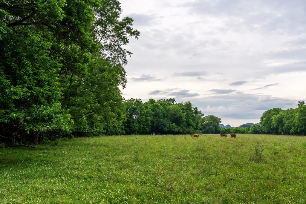 0 Ostella Road Cornersville TN 37047