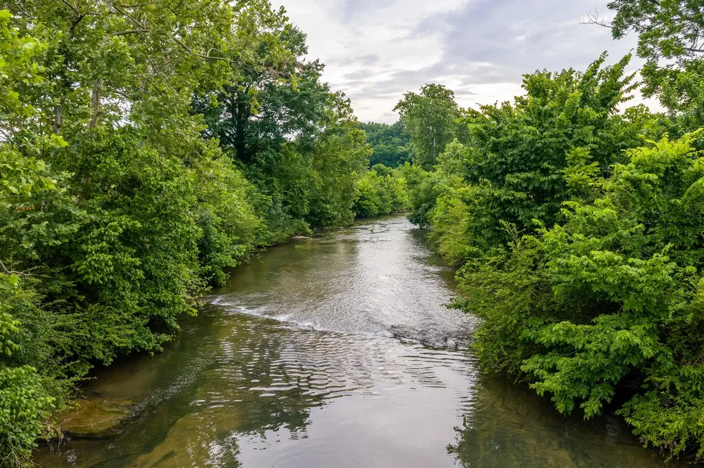 0 Ostella Road Cornersville TN 37047
