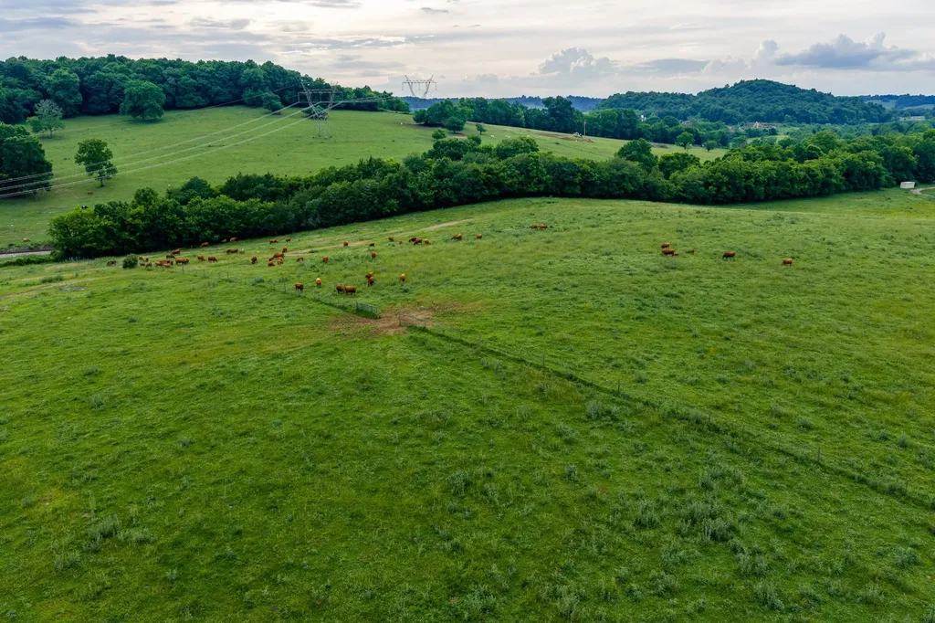 0 Ostella Road Cornersville TN 37047
