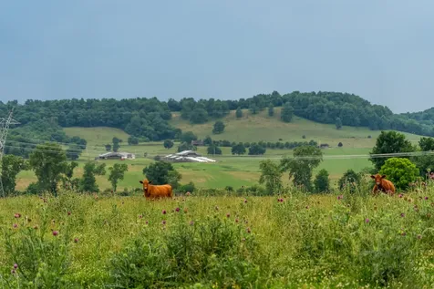0 Ostella Road Cornersville TN 37047