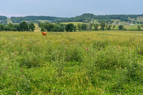 0 Ostella Road Cornersville TN 37047