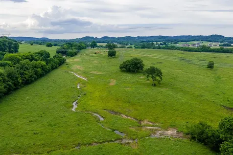 0 Ostella Road Cornersville TN 37047