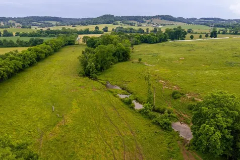 0 Ostella Road Cornersville TN 37047