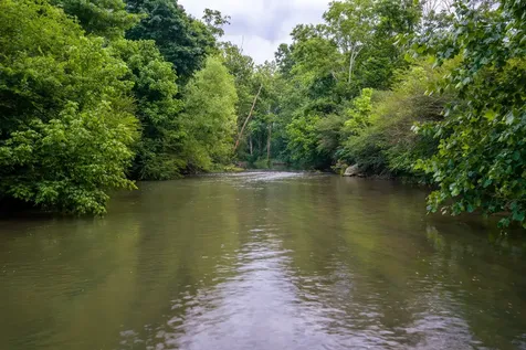0 Ostella Road Cornersville TN 37047
