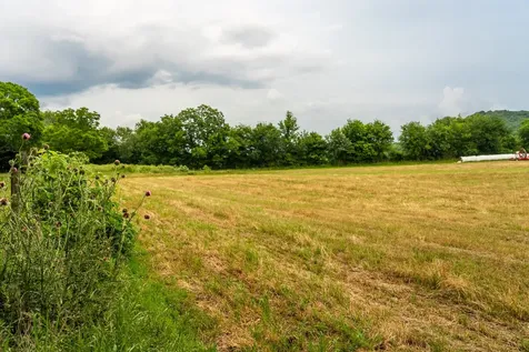 0 Ostella Road Cornersville TN 37047