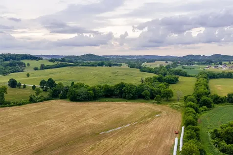 0 Ostella Road Cornersville TN 37047