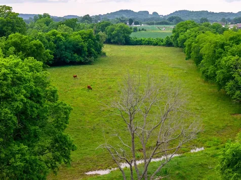 0 Ostella Road Cornersville TN 37047