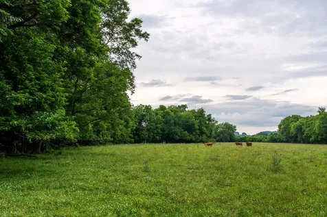 0 Ostella Road Cornersville TN 37047