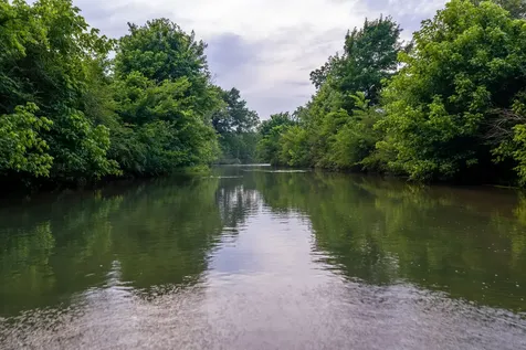 0 Ostella Road Cornersville TN 37047