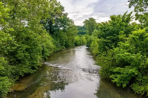 0 Ostella Road Cornersville TN 37047