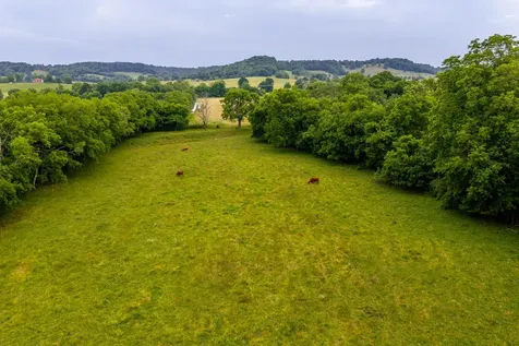 0 Ostella Road Cornersville TN 37047