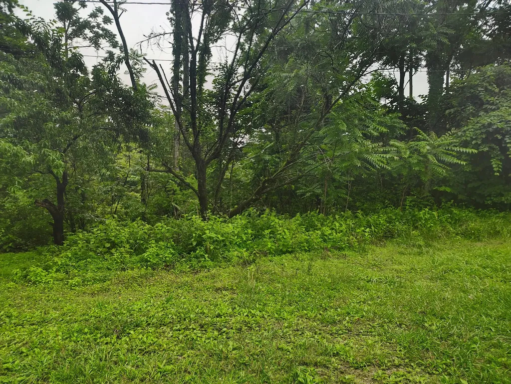 363 Wildcat Lane Lafayette TN 37083