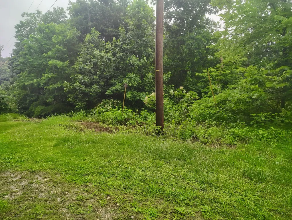 363 Wildcat Lane Lafayette TN 37083