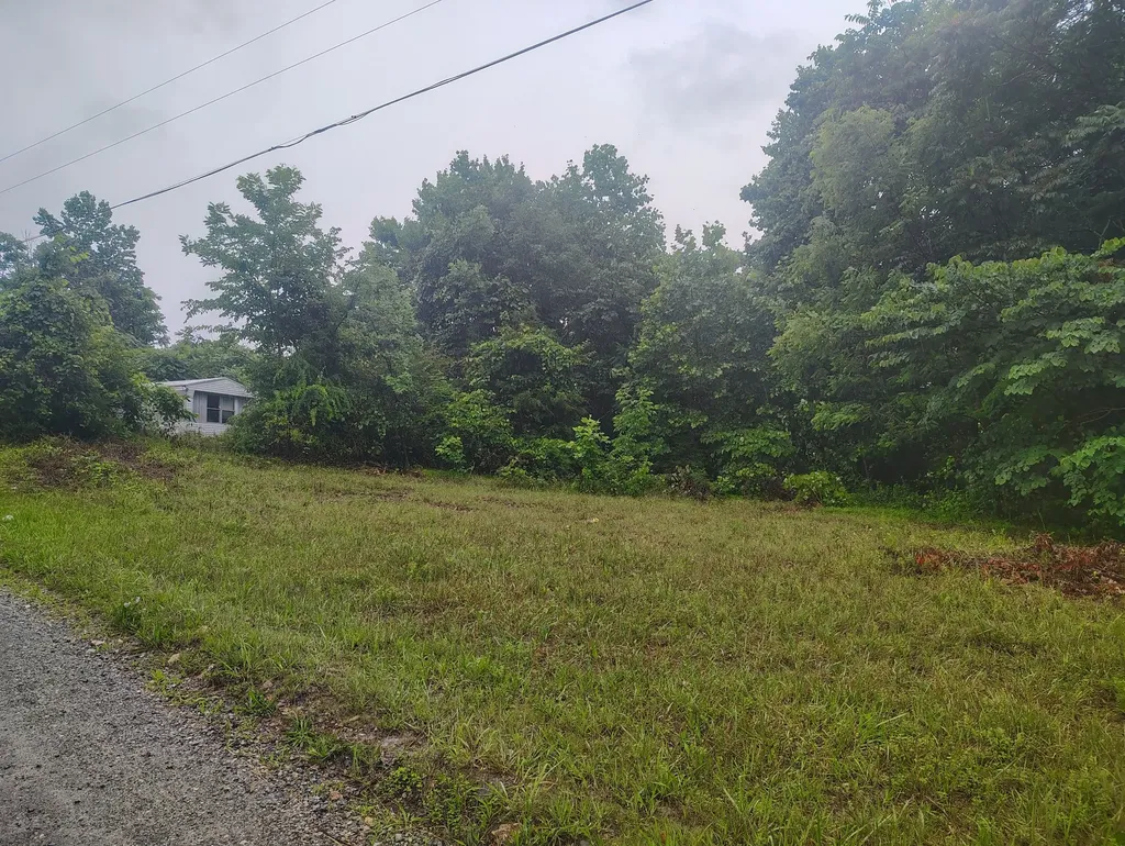 363 Wildcat Lane Lafayette TN 37083
