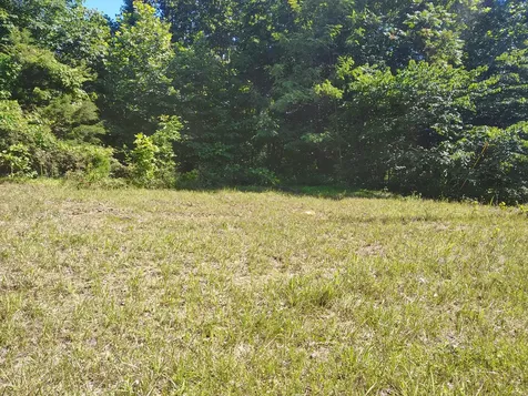 363 Wildcat Lane Lafayette TN 37083