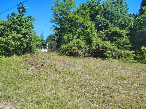 363 Wildcat Lane Lafayette TN 37083