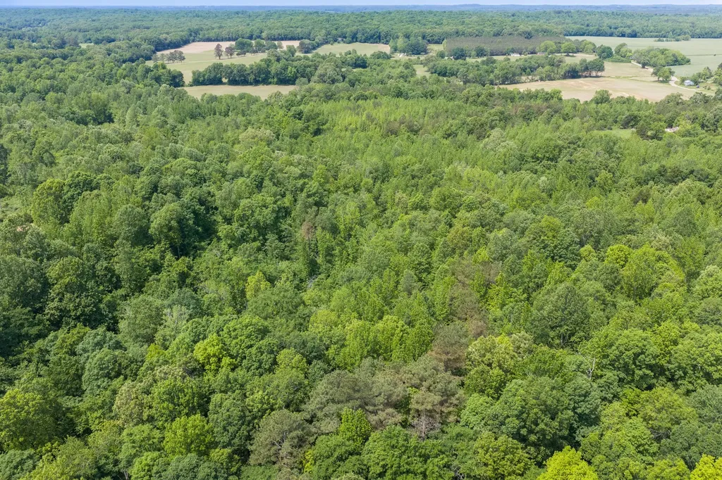 0 Mann Road Hollow Rock TN 38342