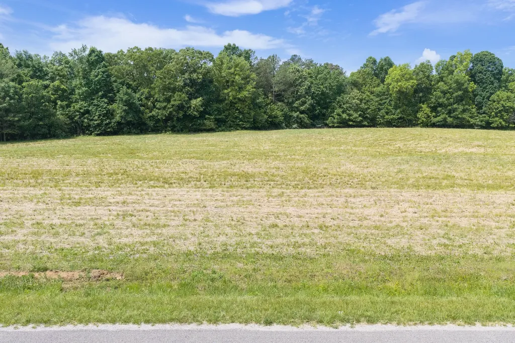 0 Mann Road Hollow Rock TN 38342