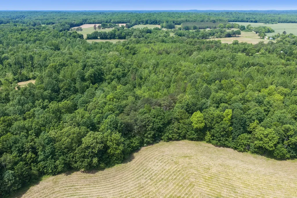0 Mann Road Hollow Rock TN 38342