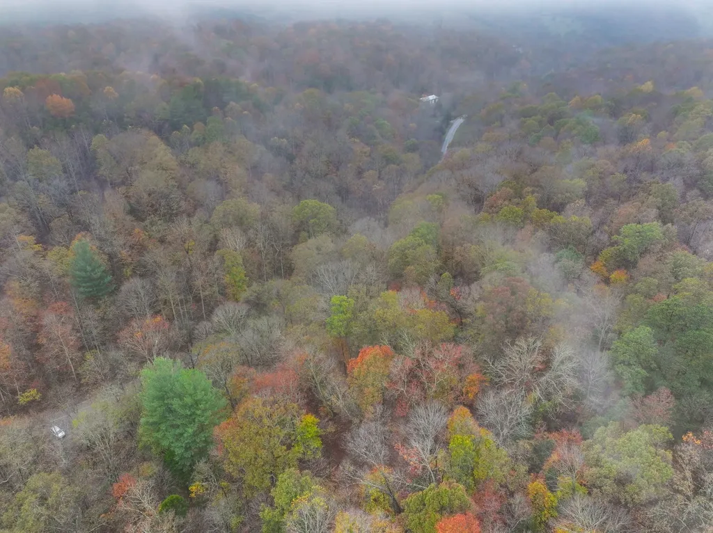 0 Baggett Hollow Cunningham TN 37052