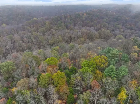 0 Baggett Hollow Cunningham TN 37052