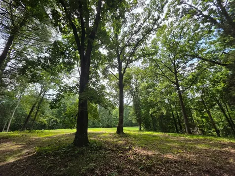 0 Baggett Hollow Cunningham TN 37052