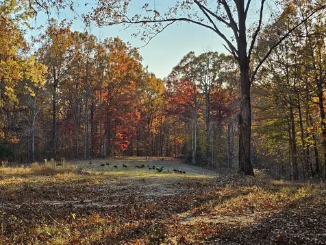 0 Baggett Hollow Cunningham TN 37052