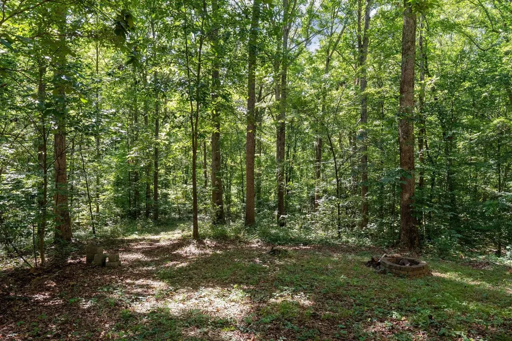 2504 Bearwallow Road Ashland City TN 37015