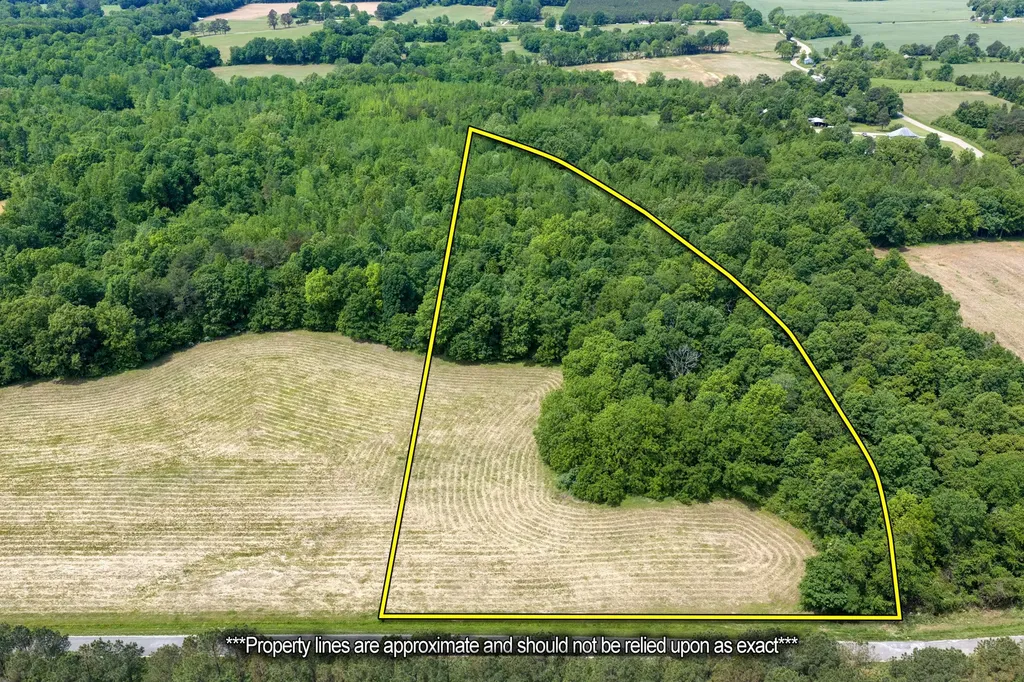0 Mann Road Hollow Rock TN 38342