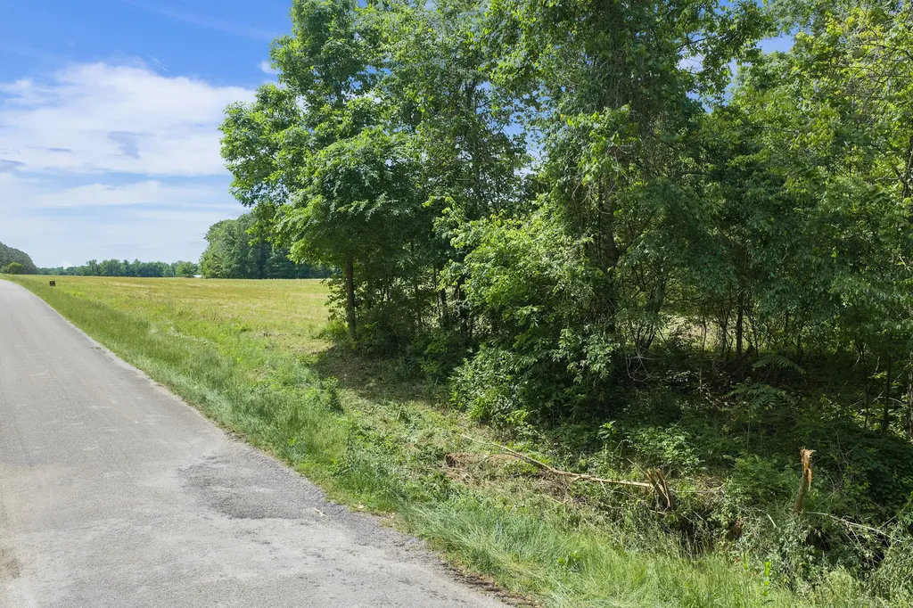0 Mann Road Hollow Rock TN 38342