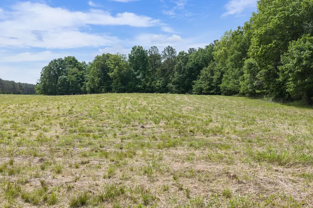 0 Mann Road Hollow Rock TN 38342
