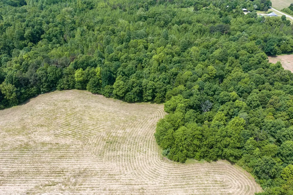 0 Mann Road Hollow Rock TN 38342
