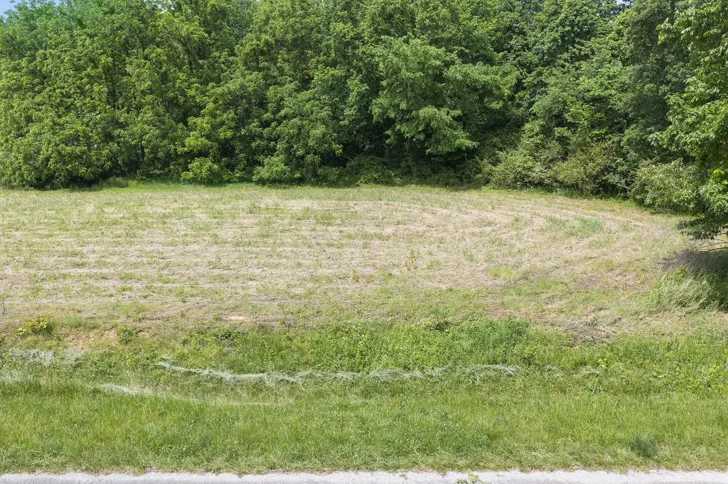 0 Mann Road Hollow Rock TN 38342