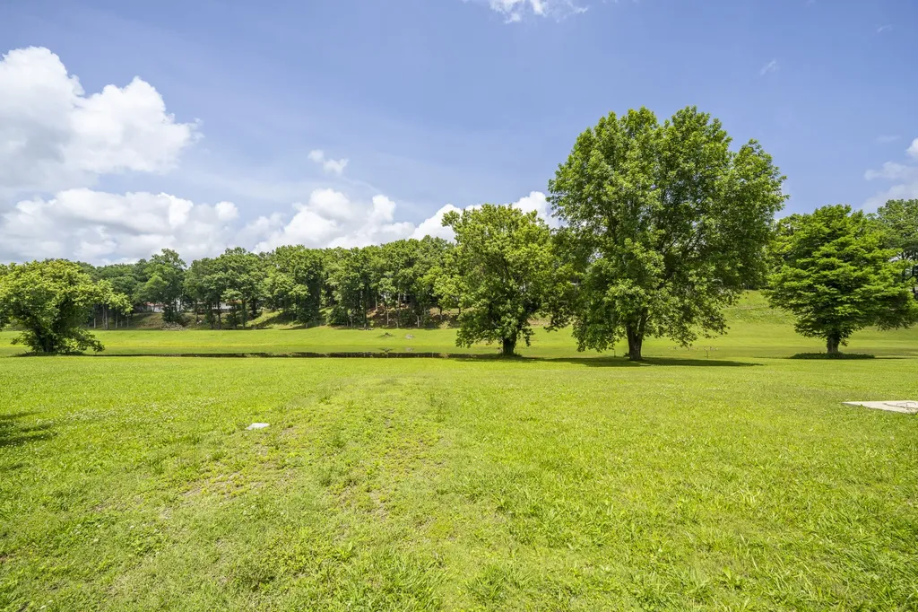 694 River Road Clifton TN 38425